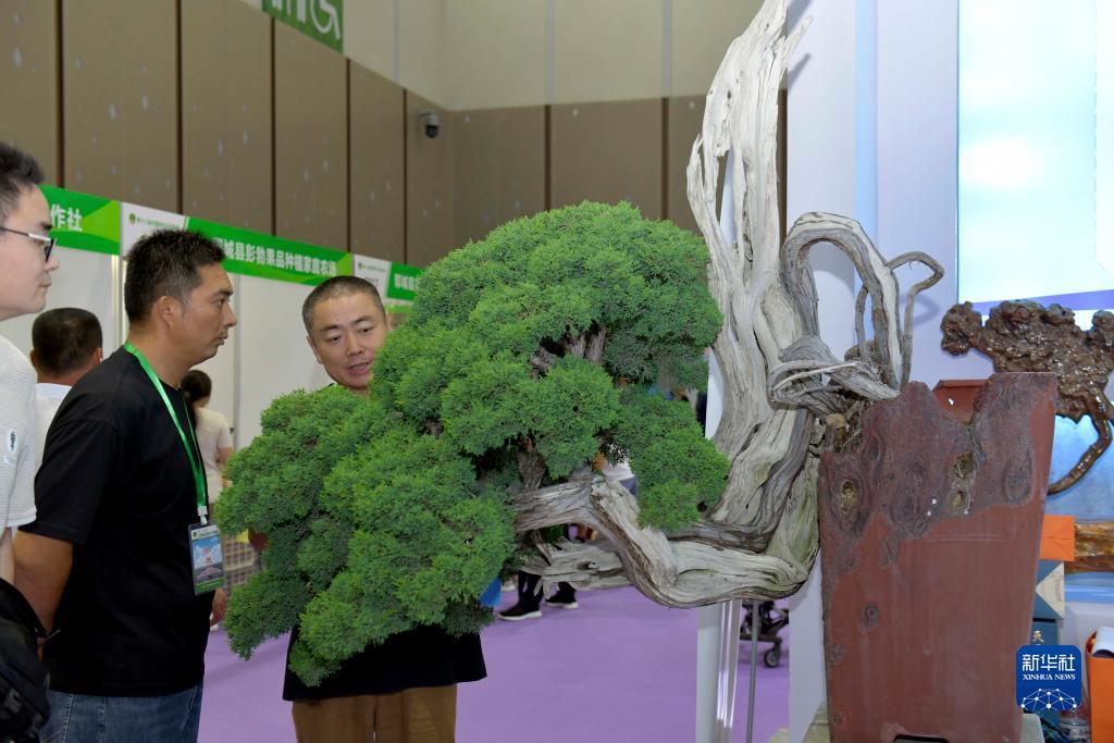 万丰娱乐